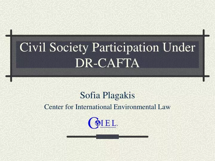 civil society participation under dr cafta