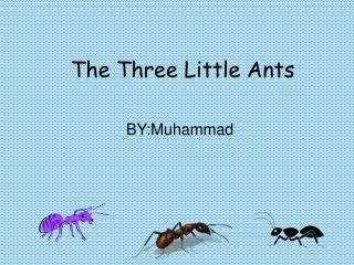 The Three Little Ants