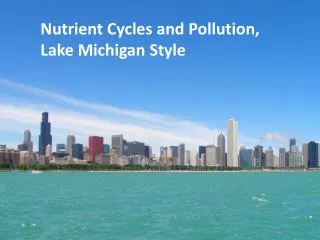 Nutrient Cycles and Pollution, Lake Michigan Style