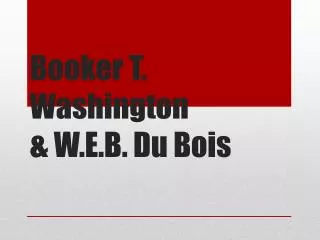 Booker T. Washington &amp; W.E.B. Du Bois