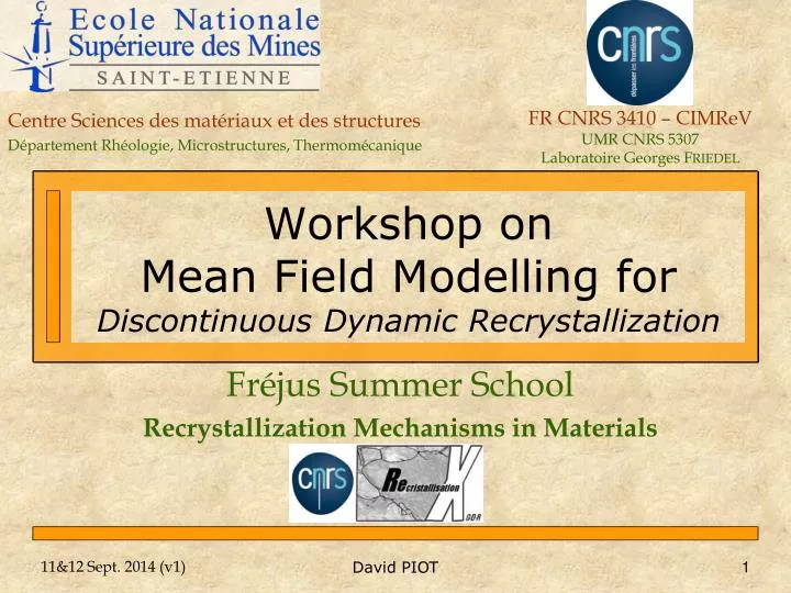 workshop on mean field modelling for discontinuous dynamic recrystallization