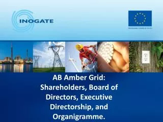 AB Amber Grid: Shareholders, Board of Directors , Executive Directorship , and Organigramme .