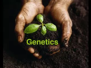 Genetics