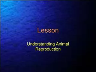 Lesson