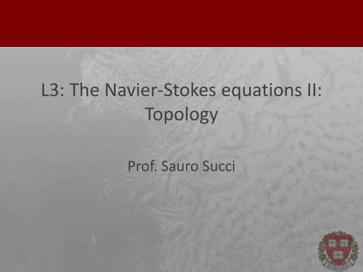 l3 the navier stokes equations ii topology