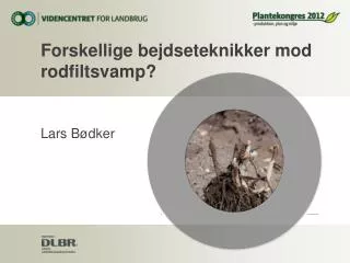 forskellige bejdseteknikker mod rodfiltsvamp