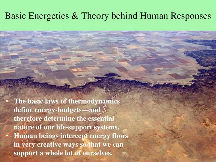 basic energetics theory behind human responses