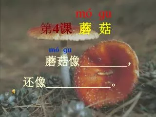 m u 4