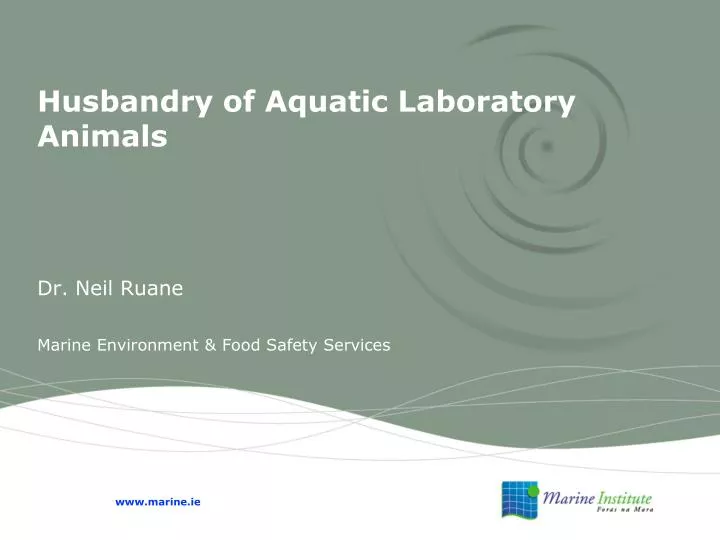 husbandry of aquatic laboratory animals