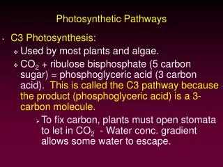 Photosynthetic Pathways