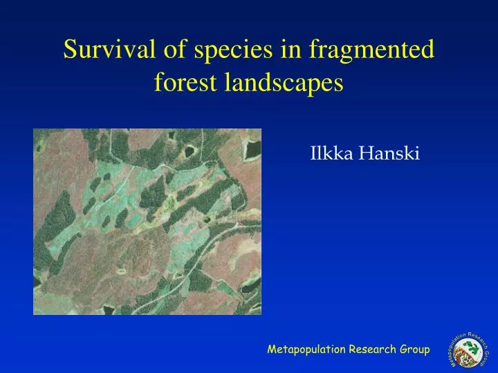 survival of species in fragmented forest landscapes