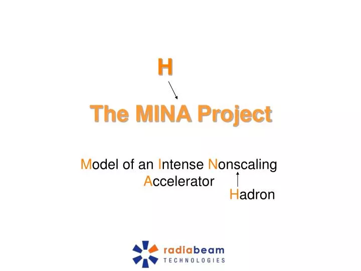 the mina project