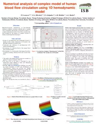 Numerical analysis of complex model of human blood flow circulation using 1D hemodynamic model