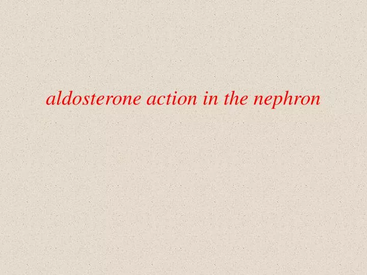 aldosterone action in the nephron