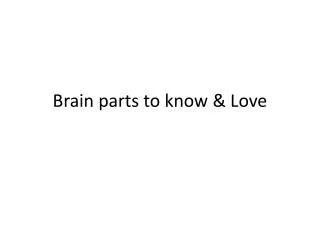 Brain parts to know &amp; Love