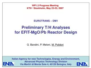 Preliminary T/H Analyses for EFIT-MgO/Pb Reactor Design
