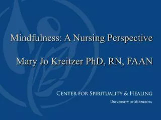 Mindfulness: A Nursing Perspective Mary Jo Kreitzer PhD, RN, FAAN