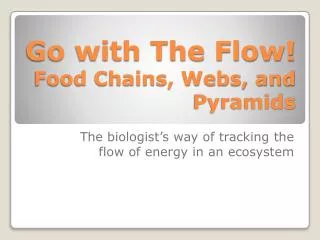 go with the flow food chains webs and pyramids