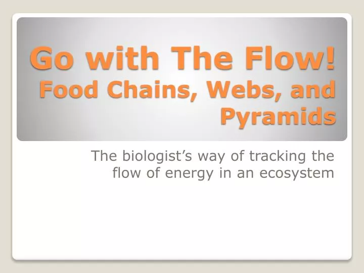 go with the flow food chains webs and pyramids