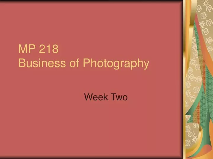 mp 218 business of photography