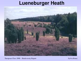 Lueneburger Heath