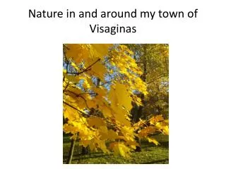 Nature in and around my town of Visaginas
