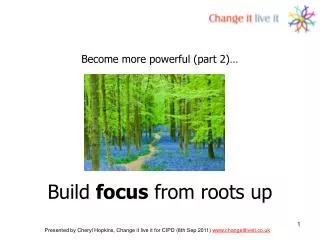 Build focus from roots up