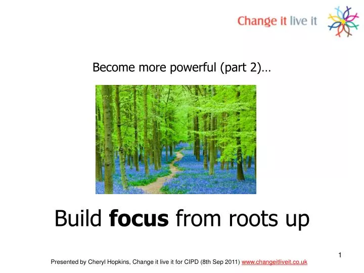 build focus from roots up