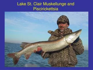 Lake St. Clair Muskellunge and Piscirickettsia