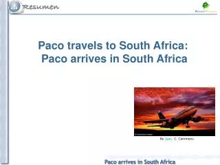 Paco travels to South Africa: Paco arrives in South Africa