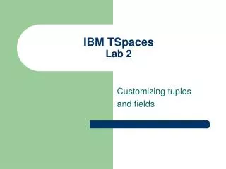 IBM TSpaces Lab 2
