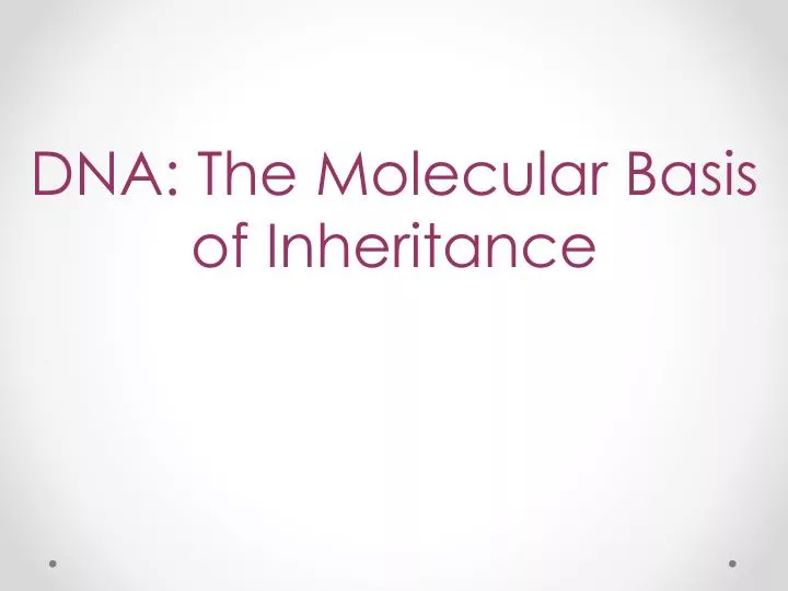 dna the molecular basis of inheritance