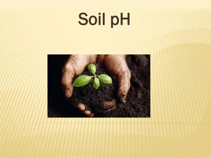 soil ph