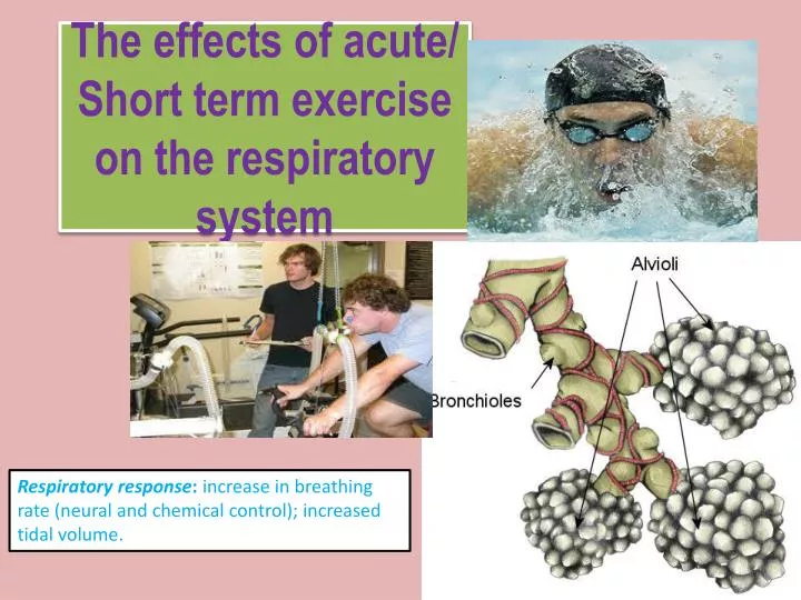 the effects of acute short term exercise on the respiratory system