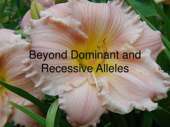 beyond dominant and recessive alleles