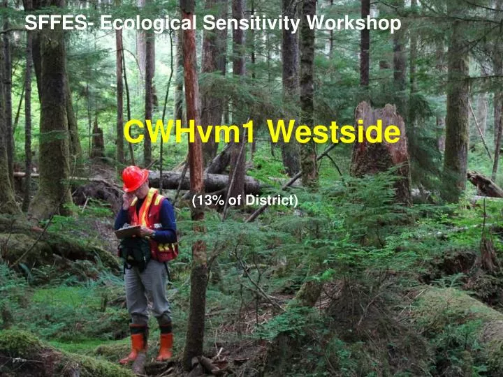 sffes ecological sensitivity workshop
