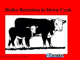 Heifer Retention in Down Cycle
