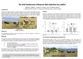 Do wild herbivores influence diet selection by cattle?