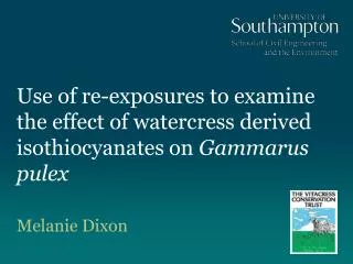 Use of re-exposures to examine the effect of watercress derived isothiocyanates on Gammarus pulex