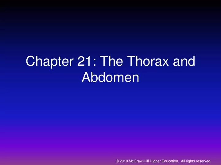chapter 21 the thorax and abdomen
