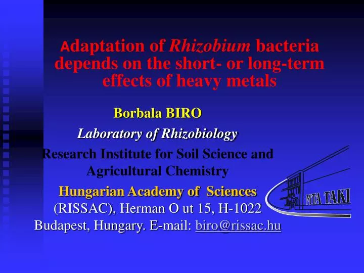 a daptation of rhizobium bacteria depends on the short or long term effects of heavy metals