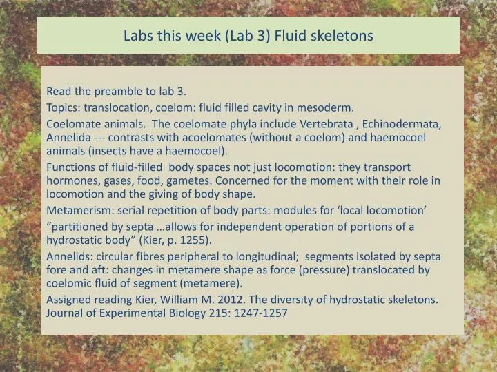 labs this week lab 3 fluid skeletons