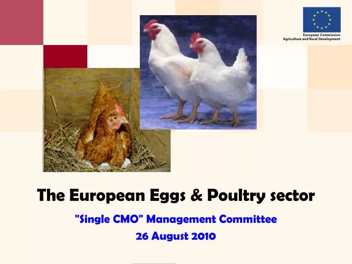 the european eggs poultry sector