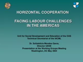 HORIZONTAL COOPERATION FACING LABOUR CHALLENGES IN THE AMERICAS