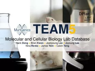 TEAM 5 Molecular and Cellular Biology Lab Database