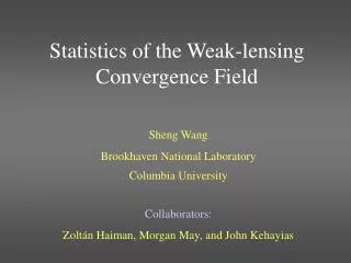 Statistics of the Weak-lensing Convergence Field
