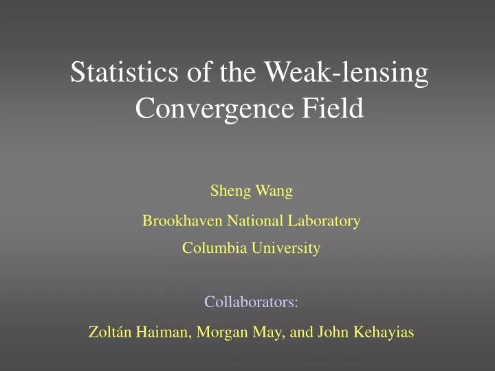 statistics of the weak lensing convergence field