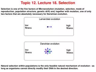 Topic 12. Lecture 18. Selection
