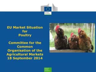 Imports of Poultry meat from selected origins