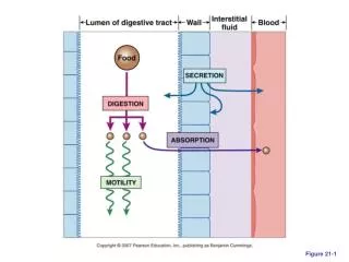 Figure 21-1